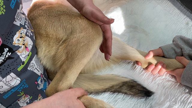 17-04-2024 смотреть онлайн