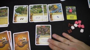 Поселенцы Северные Империи Настольная Игра Обзор