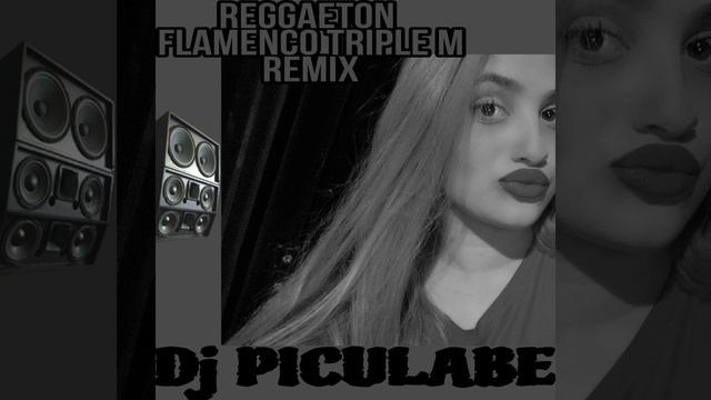 REGGAETON FLAMENCO TRIPLE M REMIX DJ PICULABE смотреть онлайн