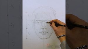 Конструкция и пропорции головы человека. Художник Лосев Георгий Евгеньевич