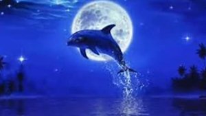 M. Таривердиев. Дельфины