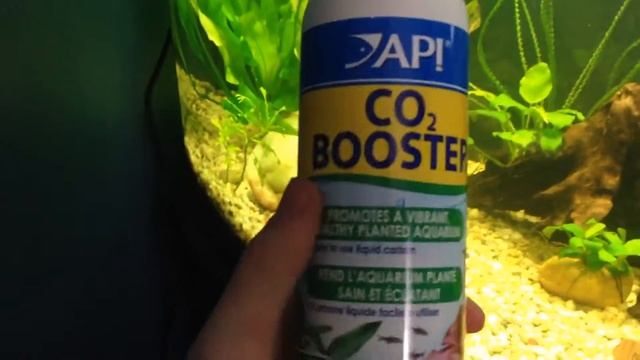 Super Plant Sunday's: Crinum Calamistratum смотреть онлайн