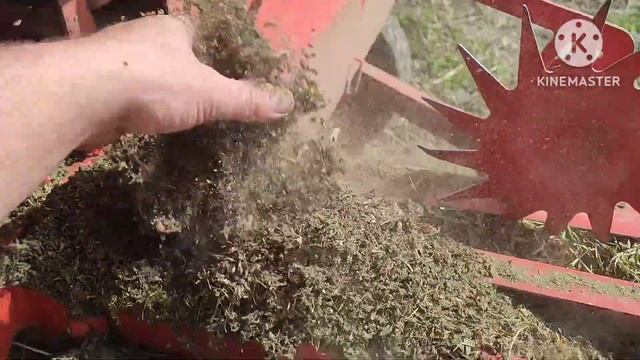 Прессую люцерну сорт Вега первогодка после ворошения. Пресс Welger Ap 61 трактор МТЗ 82 турбо. смотреть онлайн