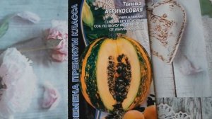 Рассада тыквы абрикосовая