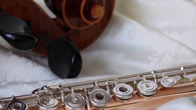 Fusion: A Love Story (flute/cello duet) смотреть онлайн