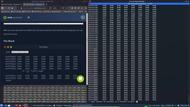 HackTheBox Academy - Stack-Based Buffer Overflows on Linux x86 | Final Assessment смотреть онлайн