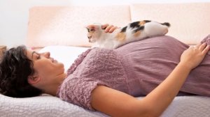 Как Кошки Лечат, и Какие Болезни Лечит Фелинотерапия