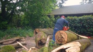 Слэбы из клёна и ореха бензопилой | Столярная плаха своими руками