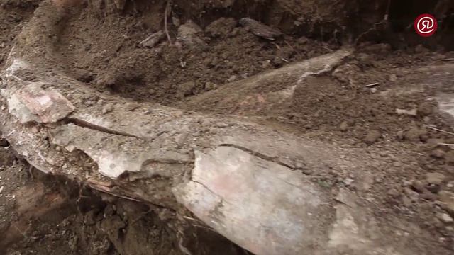 Отчёт по практике "Якутия" Дьяченко