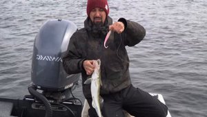 DAIWA BAIT JUNKIE для Джига / Андрей Старков