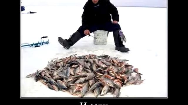 Демотиваторы о рыбалке 3 Зима смотреть онлайн