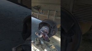 Ниссан дизель cm 87 , задние колодки, рем комплект , замена накладок( часть1)