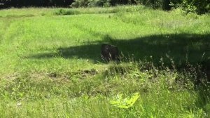 Бутовский полигон / История повторяется