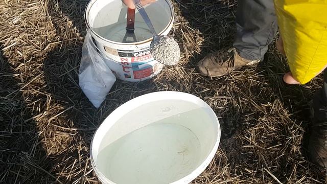 Самая первая подкормка голубики. смотреть онлайн