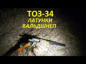 Чёткий выстрел по вальдшнепу. ТОЗ-34 и латунки.