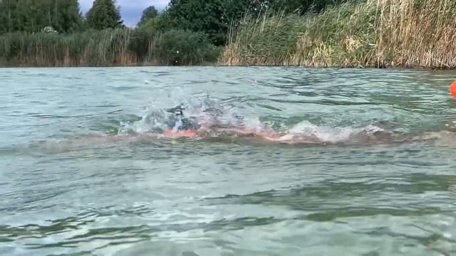 Кроль для открытой воды. Total Immersion Swimming Ukraine ?? смотреть онлайн