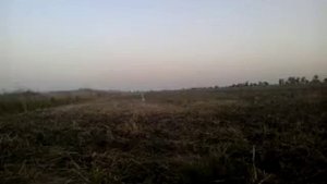 Оксид меди и серебрянка