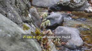DATO - Прости меня!!! КАРАОКЕ ВЕРСИЯ