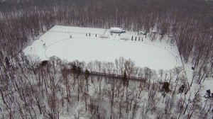 городская роща в Ефремове