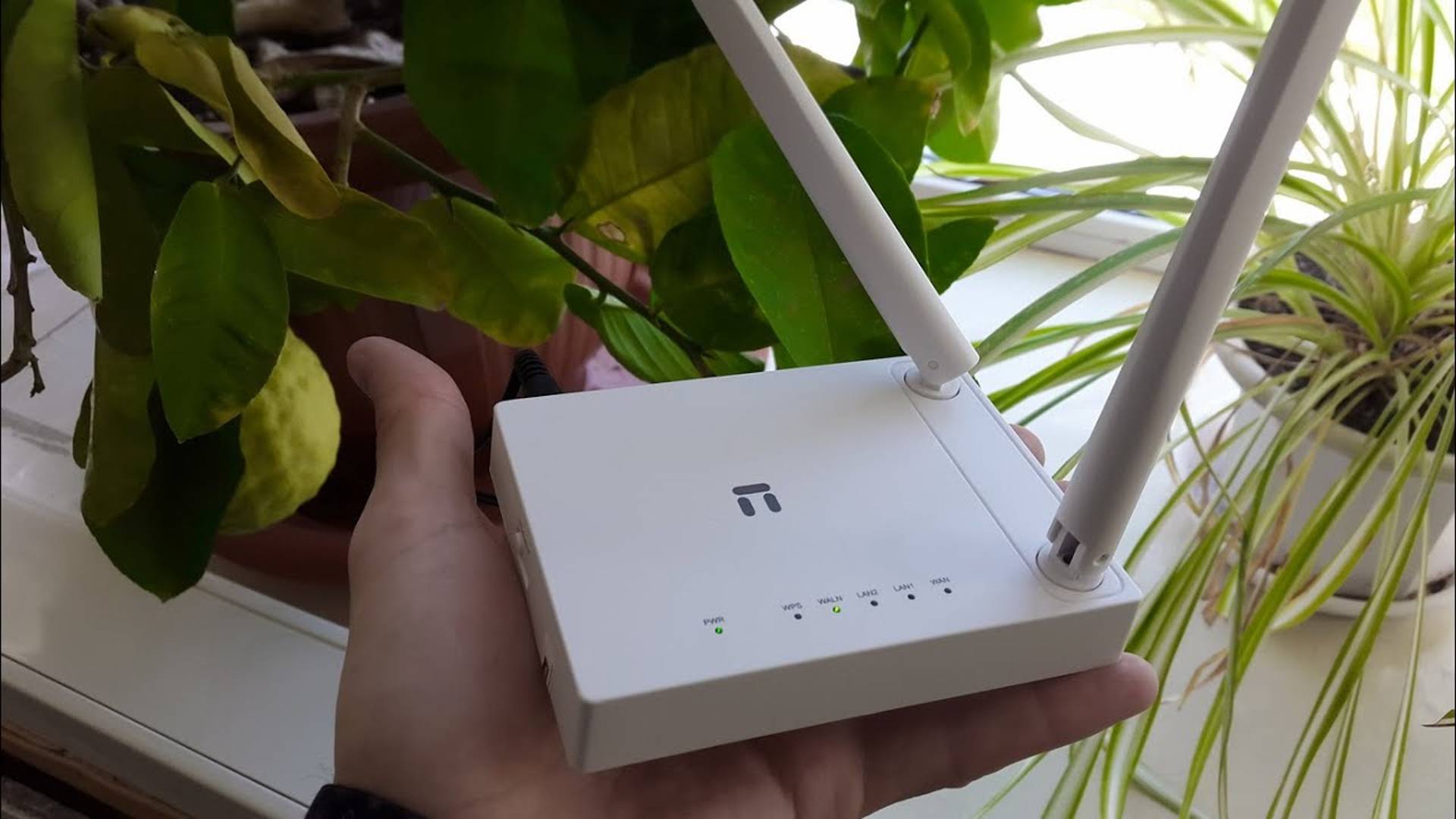 📶 Роутер Netis W1, PPPoE + IPTV настройка