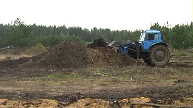 Чем заменить минеральные удобрения для голубики? смотреть онлайн