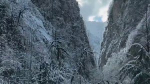 #АБХАЗИЯ#ЗИМА#СНЕГ#ГОРЫРИЦА #2024