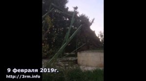 ЗНАМЕНИЕ КОНЦА ВРЕМЕН. УПАЛ МАВРИЙСКИЙ ДУБ В ХЕВРОНЕ