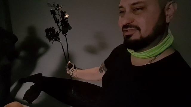 LORENA - CHERNA ORHIDEYA /BACKSTAGE/ ЛОРЕНА - ЧЕРНА ОРХИДЕЯ /ЗАД КАДЪР/ смотреть онлайн