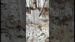 ИЖ-43.Расстреляли злодея! дробь. картечь. пуля.