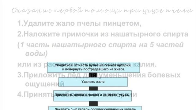 Первая помощь при укусе пчелы. Тайминг в описании. смотреть онлайн