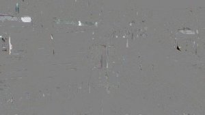 Вишневский Даниил