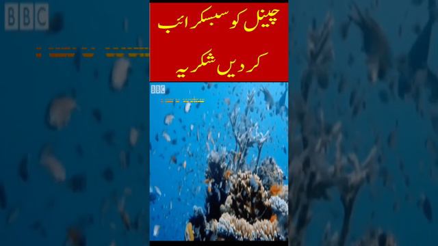 Mariana Trench, Depth of Ocean, 5 Zones of Ocean, , 7 Oceans, Pak & World, Asghar Ali,