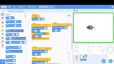 Scratch знакомимся с командами сенсорами. Взаимодействие спрайта с определенным цветом в Scratch