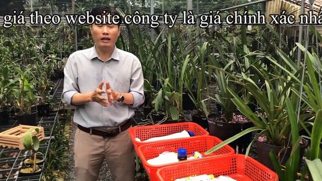 ??Actara 25 WG - Tuyệt chiêu trị các loại sâu, bọ trĩ, rầy, ốc giá rẻ | Mai Huy ?? смотреть онлайн