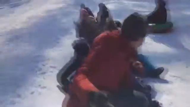 Сосновый бор Семей смотреть онлайн