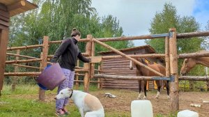 ПЕРЕЕХАЛИ В ЛЕС чтобы построить свой дом. Собрали первый этаж и половые лаги.