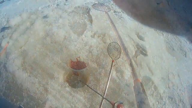 Зимняя рыбалка на реке Вычегда. Мормышка, мотыль). смотреть онлайн