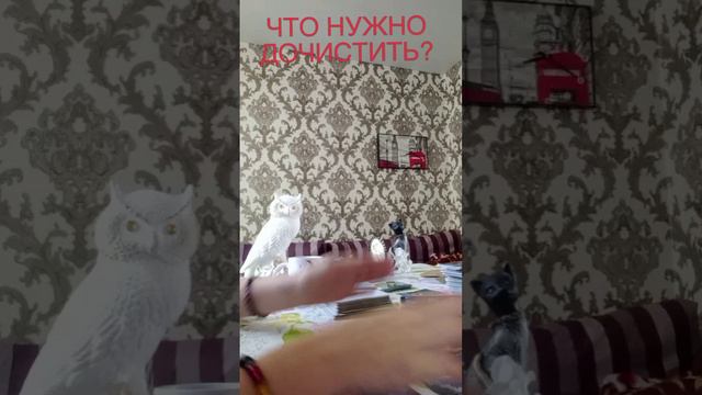 ЧТО НУЖНО ДОЧИСТИТЬ?