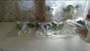 КАК УПАКОВАТЬ ЛИСТЫ ФИАЛОК. СОБИРАЮ ЗАКАЗ. НЕ ПОЧТОЙ!!!