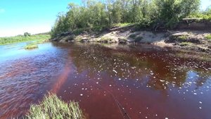 Одиночный сплав по реке Уфтюга. Часть 2