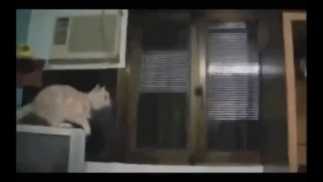 СБОРНИК ПРИКОЛОВ ★ Выпуск 2 смотреть онлайн