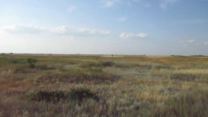 Опустевшее село Овражное (колония Lindenau), Энгельсский район