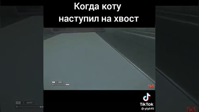 когда наступил на хвост кота смотреть онлайн