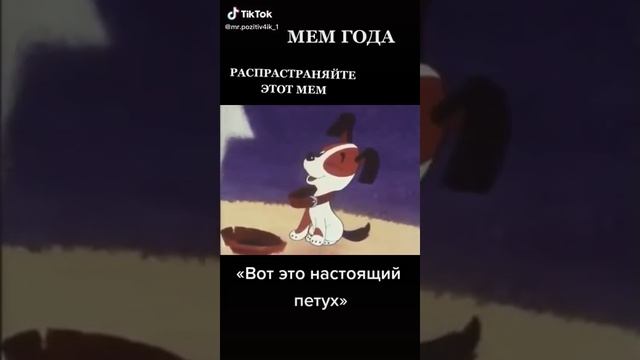 MEM 2021 "Вот это настоящий петух"!