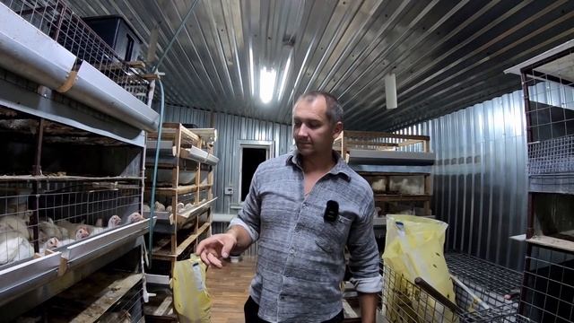 БРОЙЛЕР JA 787 - цветной или простой белый? Клетка или пол? Есть ли в нем смысл? смотреть онлайн