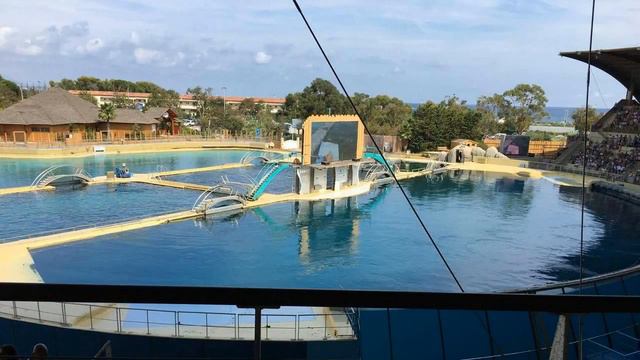 Морской парк Marineland. Франция, Антиб. Лазурный Берег Франции. Путешествие по Европе