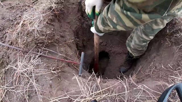 Охота на барсука.Охота с собакой, ягдтерьер в норном деле. Сезон 2021.German Jagdterrier on the hun смотреть онлайн