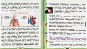 Дыхание и кровообращение. Окружающий мир. 3 класс, 1 часть. Учебник А. Плешаков стр. 144-146