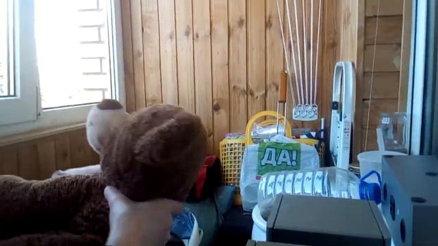 Пока родителей нет дома!!!! смотреть онлайн