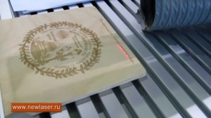 Лазерный гравер www.newlaser.ru